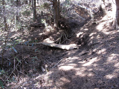 20180116hike (130)